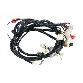 ARNES PRINCIPAL(WS-150CC)
