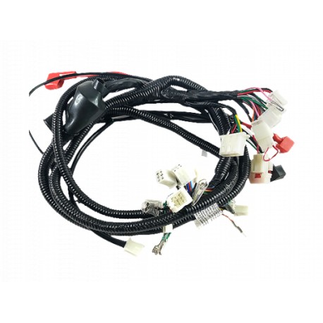 ARNES PRINCIPAL(WS-150CC)